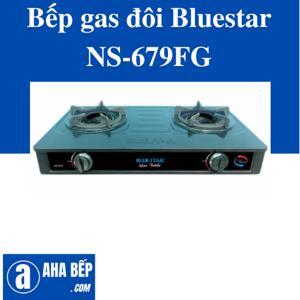 Bếp gas đôi Bluestar NS-679FG