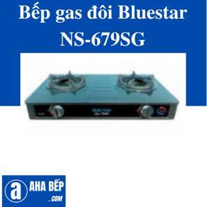 Bếp gas đôi Bluestar NS-679SG