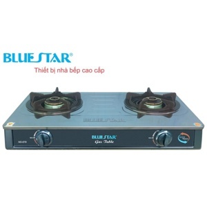 Bếp gas đôi Bluestar NS-679SH