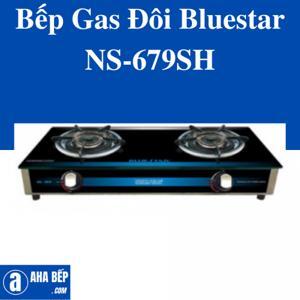 Bếp gas đôi Bluestar NS-679SH