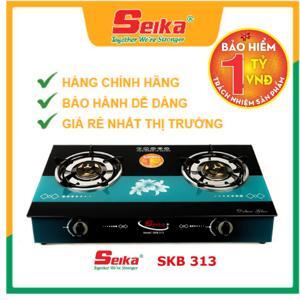 Bếp gas đôi eBlue EBB313