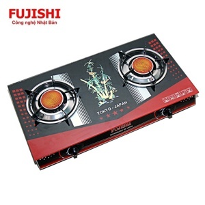 Bếp gas Fujishi FM-H790-HN - Bếp đôi