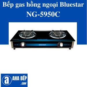 Bếp gas đôi hồng ngoại Bluestar NG-5950C