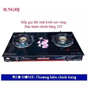 Bếp gas đôi hồng ngoại Redhome TN-621