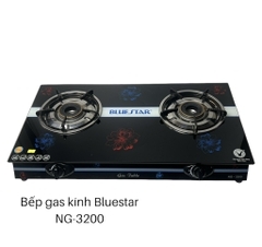 Bếp gas đôi Bluestar NG-3200