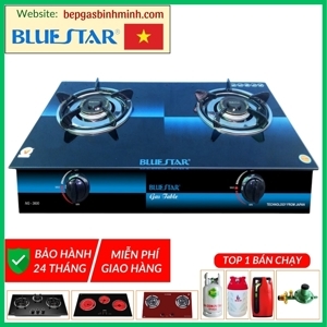 Bếp gas đôi mặt kính Bluestar NG-3600V82