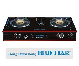 Bếp gas dương Bluestar NG-5690G