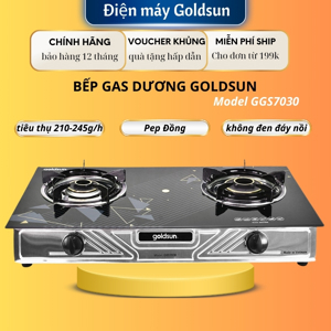 Bếp gas dương Goldsun GGS7010