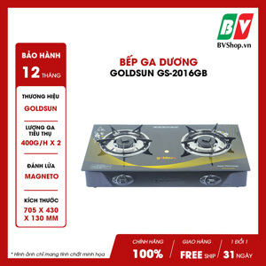 Bếp gas dương Goldsun GS-2016GB