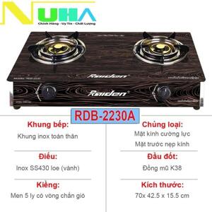 Bếp gas dương Raiden RDB-2230A