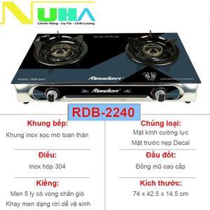 Bếp gas dương Raiden RDB-2240