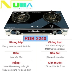 Bếp gas dương Raiden RDB-2240