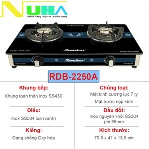 Bếp gas dương Raiden RDB-2250A