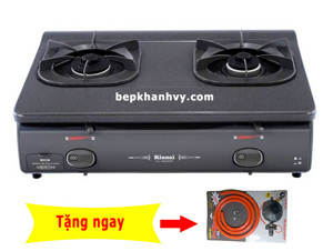 Bếp gas dương Rinnai RJ8600FE (RJ-8600FE)