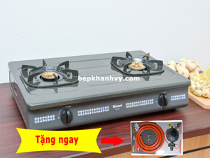 Bếp gas dương Rinnai RV-377G - Bếp đôi