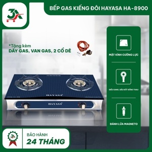 Bếp gas Hayasa HA8900