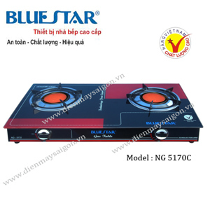 Bếp gas hồng ngoại BlueStar NG-5170C - Bếp đôi