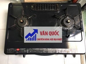 Bếp gas Nhật Rinani RT31NHS-L