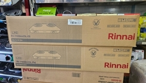Bếp gas Rinnai RV-715SLIM(GL-PE)