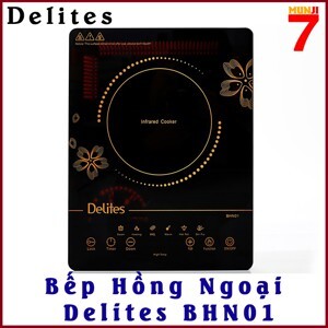 Bếp hồng ngoại dương 1 vùng nấu Delites BHN01