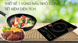 Bếp hồng ngoại dương 1 vùng nấu Delites BHN01