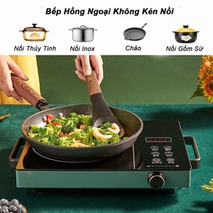 Bếp hồng ngoại dương 1 vùng nấu Delites BHN01