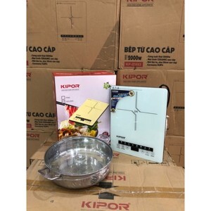 Bếp hồng ngoại đơn Delites 853