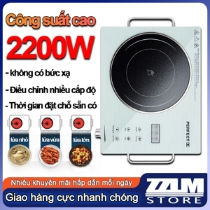 Bếp hồng ngoại đơn Perfect PF-BH86