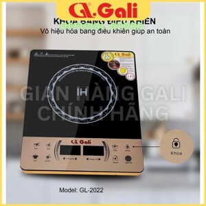 Bếp hồng ngoại dương 1 vùng nấu Gali GL-2008