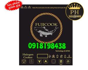 Bếp hồng ngoại dương 1 vùng nấu Fujicook DD-HC12A