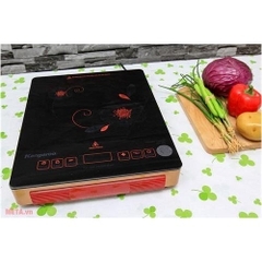 Bếp hồng ngoại dương 1 vùng nấu Kangaroo KG385I