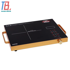Bếp hồng ngoại dương 1 vùng nấu Ladomax HA-666