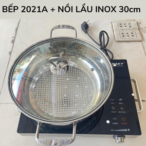 Bếp hồng ngoại dương 1 vùng nấu Sanaky SNK2101HG