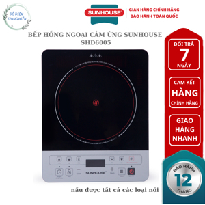 Bếp hồng ngoại dương 1 vùng nấu Sunhouse SHD6005