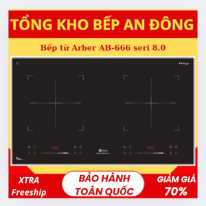 Bếp từ âm 2 vùng nấu Arber AB-666