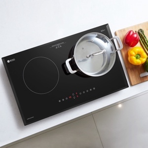 Bếp từ âm 2 vùng nấu Elmich ICE-3491