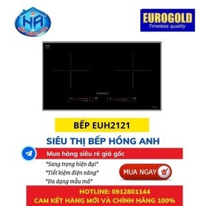 Bếp từ âm 2 vùng nấu Eurogold EUH2121