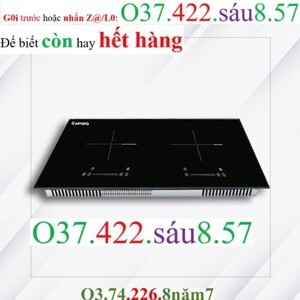 Bếp từ âm 2 vùng nấu Rapido RI4000VD