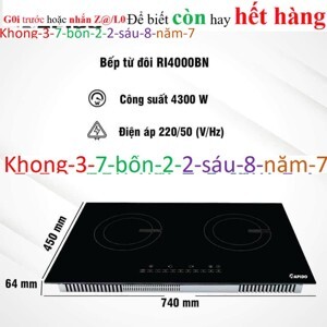 Bếp từ âm 2 vùng nấu Rapido RI4000BS