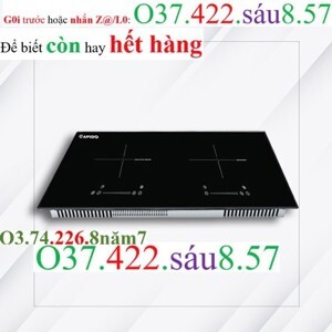 Bếp từ âm 2 vùng nấu Rapido RI4000VD