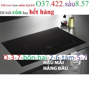 Bếp từ âm 2 vùng nấu Sunhouse SHB-DI05