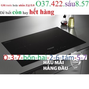 Bếp từ âm 2 vùng nấu Sunhouse SHB-DI01