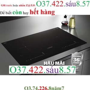 Bếp từ âm 2 vùng nấu Sunhouse SHB-DI05