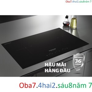 Bếp từ âm 2 vùng nấu Sunhouse SHB-DI01