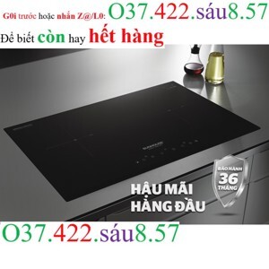 Bếp từ âm 2 vùng nấu Sunhouse SHB-DI01