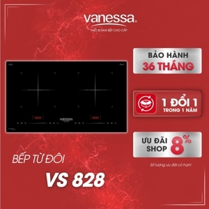 Bếp từ âm 2 vùng nấu Vanessa VS828