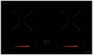 Bếp từ âm 2 vùng Topy TP-1377S