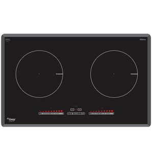 Bếp từ Canzy CZI-9979