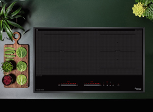 Bếp từ đôi Canzy CZ-MVS 508I