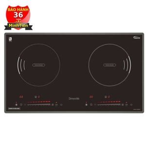 Bếp từ đôi D'mestik TL866 DKI